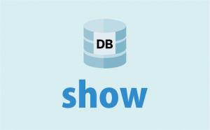 データベースやテーブルを表示